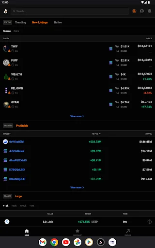 I-download ang Birdeye Crypto Data Tool – Subaybayan ang Memecoins - Screenshot 16