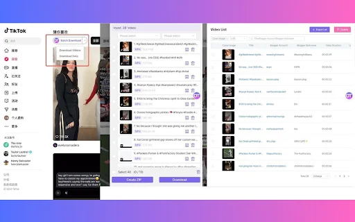 DataTool Video Downloader: I-download ang TikTok Videos nang HD - Screenshot 1
